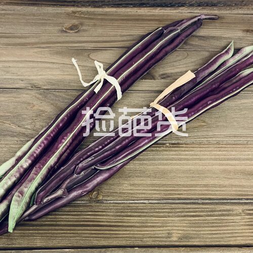 高仿真豆角芦笋茭白瓜装饰摆件逼真蔬菜模型家居餐厅橱窗摄影道具
