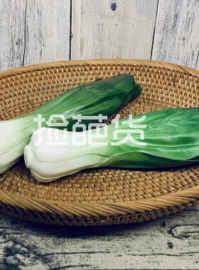 高仿真上海青菜大白菜装饰摆件逼真蔬菜模型家居餐厅橱窗摄影道具