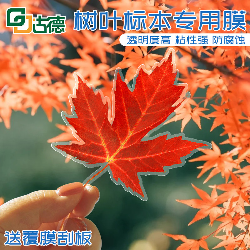 透明度高足丝足厚粘性强