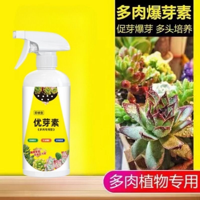 拍一发三优芽素促芽促多头多肉专用叶插爆芽催芽家用植物营养液