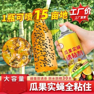 瓜果实蝇追踪诱粘剂果园粘虫板神器灭针蜂果蝇昆虫引诱剂杀虫双面