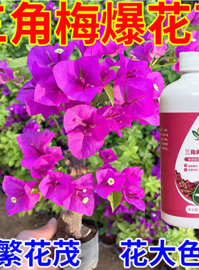 三角梅促进生长营养液专用肥复合肥开花家用花肥催促花