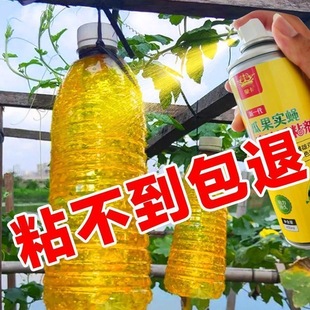 瓜果实蝇追踪诱粘剂除虫实果蝇菜园果园果树果蝇引诱黏剂