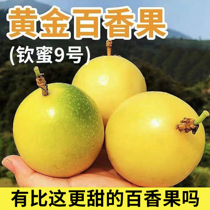 海南钦蜜9号黄金百香果新鲜特大果整箱当季现摘孕妇水果甜如蜂蜜