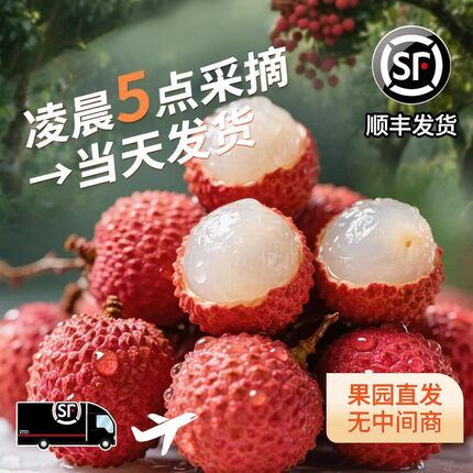 妃子笑荔枝2026新鲜现摘现发桂老树味水果礼盒装端午节送礼礼物