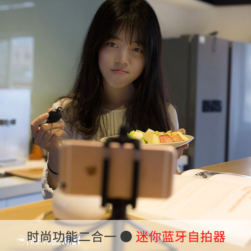 Télécommande pour téléphone portable - Ref 302477 Image 5