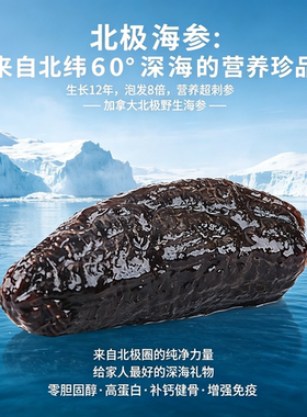加拿大原装进口野生北极淡干海参干货454g袋OceanFeast