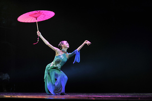 红果果舞台演出服饰羽化灵蛇桃李杯古典舞蹈服装订做限时特价包邮