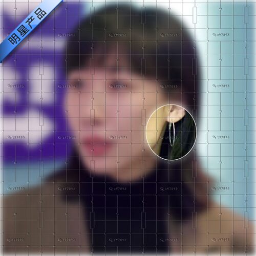 故乡别来无恙任素汐张沛同款耳环2025时尚个性耳圈耳钉冷淡风耳饰