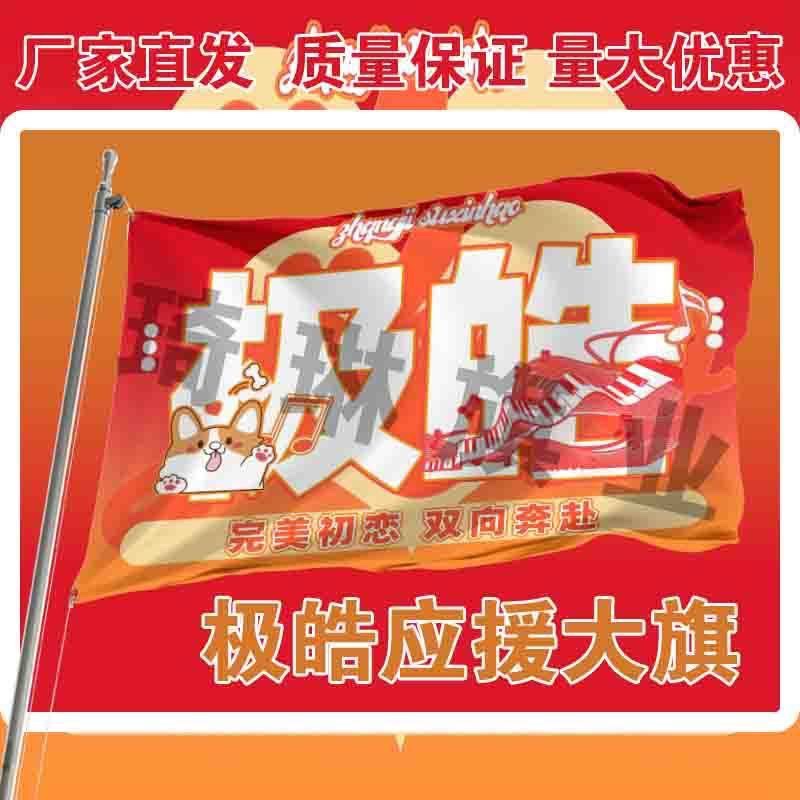 极皓应援大旗TF家族张极苏新皓CP应援旗户外演唱会手持大旗定制