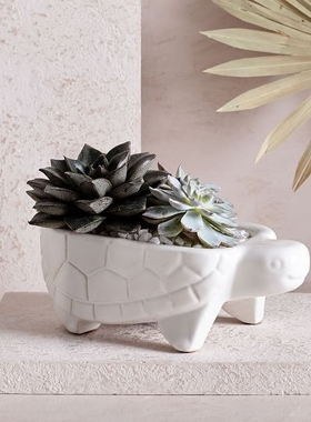 diy美国北欧风格小乌龟容器摆件