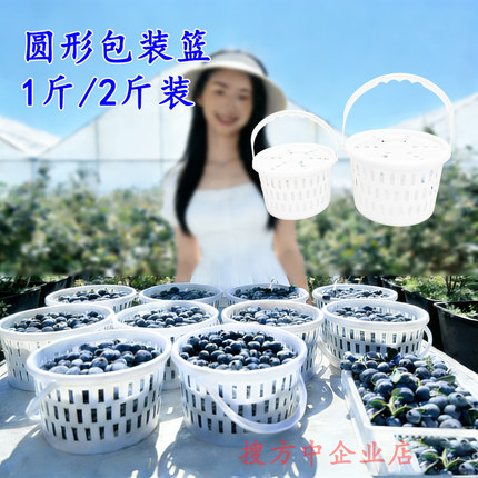 加厚塑料采摘小白桶圆形1斤蓝莓圆篮樱桃包装收纳带盖