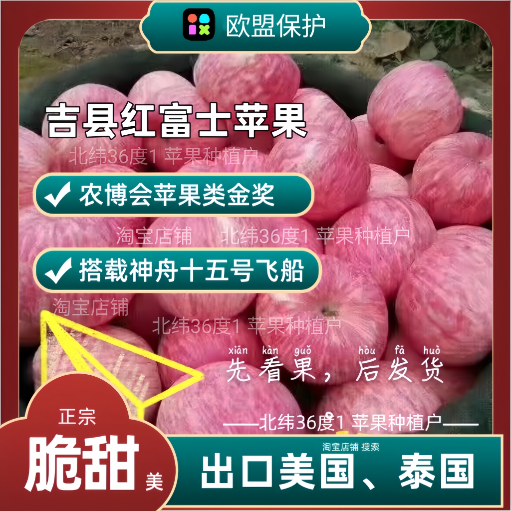 吉县壶口红富士苹果出口美国山西