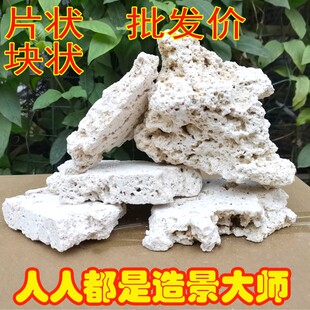 印尼爪哇石海鱼缸造景代替活石片状天然干岩免爆藻死石培菌珊瑚缸
