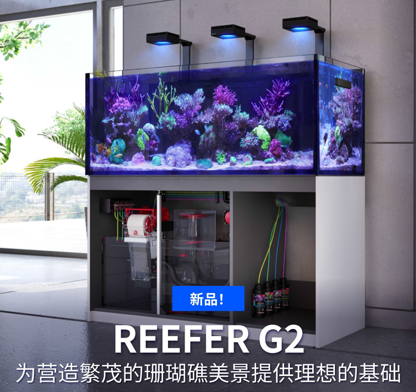 以色列红海ReeferG2+系列鱼缸
