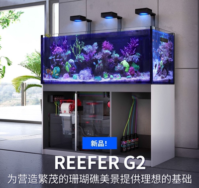 以色列红海ReeferG2+系列鱼缸