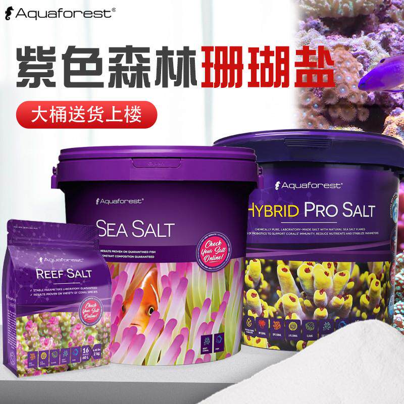 波兰紫色森林海水盐海缸盐