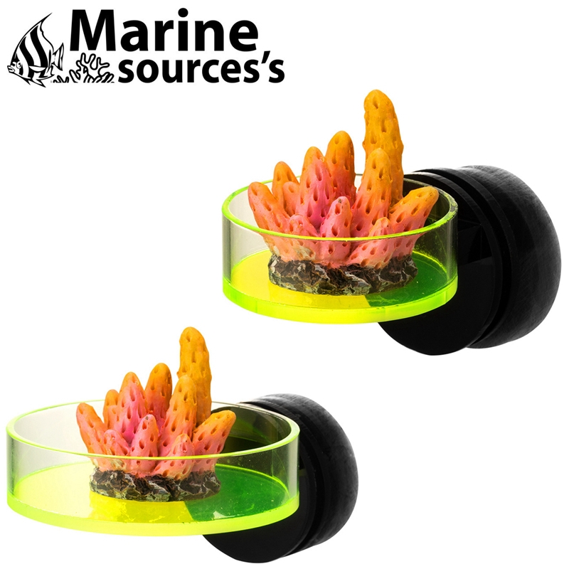 海之源海缸磁吸悬浮珊瑚断肢基座