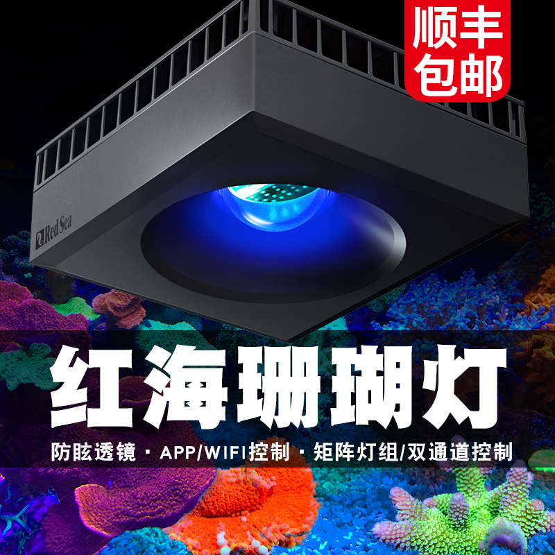 红海海水珊瑚sps海缸灯led