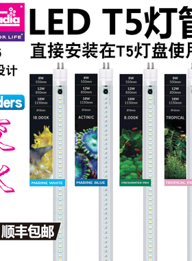 英国阿卡迪亚T5HO灯管水族海水珊瑚缸高亮蓝白斐济荧光紫节能LED