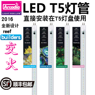 英国阿卡迪亚T5HO灯管水族海水珊瑚缸高亮蓝白斐济荧光紫节能LED