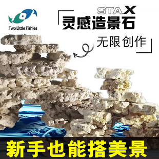 两只小鱼灵感造景石海缸培菌造景石免暴藻活石自然造景石随意摆放