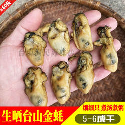 生晒金蚝广东台山牡蛎干蚝鼓干汶村金蚝深井蚝原货不抽油非湛江蚝