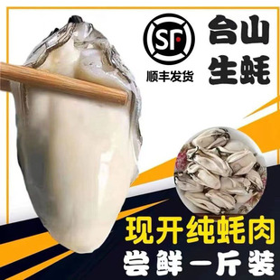 广东台山生蚝新鲜现剥大蚝肉烧烤牡蛎深井小江蚝涮火锅海鲜500g