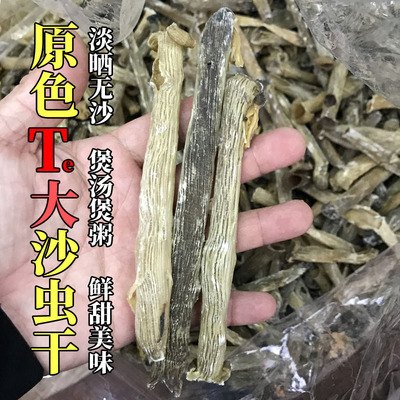 大号黑沙虫老沙虫原色