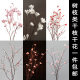 枯树枝干支花装 饰玉兰樱花客厅干枝干花花束室内落地干枝桃花梅花