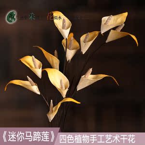 艺术干花马蹄莲仿真花小干花花束真花卧室客厅家居摆设小清新文艺