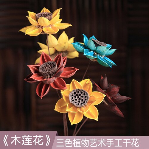 木莲花干花价格 木莲花干花图片 星期三 木莲花干花价格 木莲花干花图片 星期三