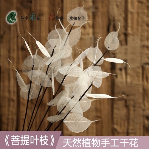菩提叶脉干花花束假花仿真花树枝装饰客厅干枝落地天然树枝树叶 - 封面