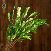 坚果叶永生花装 饰落地仿真花干花干枝插花 饰花假花干枝干花客厅装