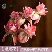 鸢尾宜家干花花束艺术装 饰干花真花风干客厅天然创意室内欧式