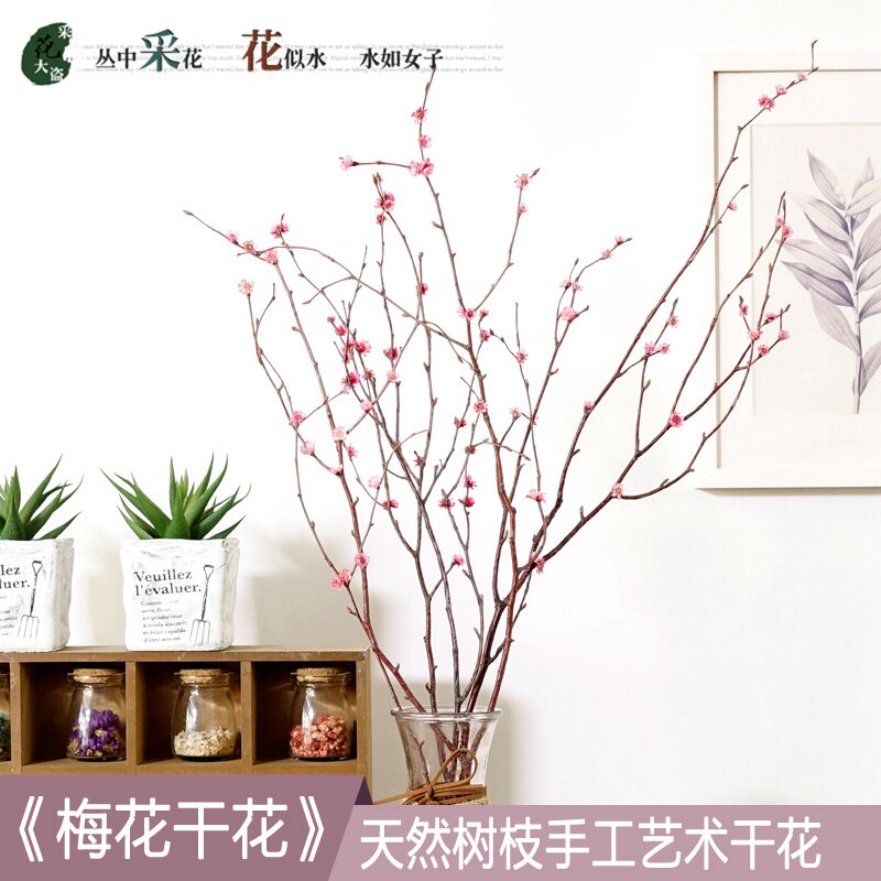 树枝装饰梅花干花枝干支梅花真花禅意干花花枝干花花束干树枝插花