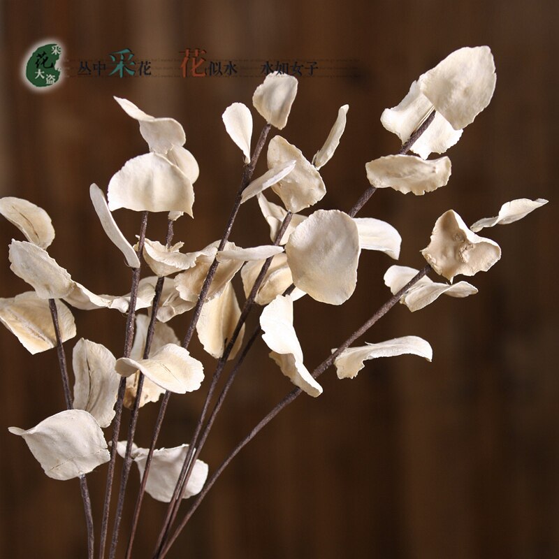 蝶翅叶/干花仿真花落地叶脉干枝干花花束客厅假树枝装饰仿真树枝