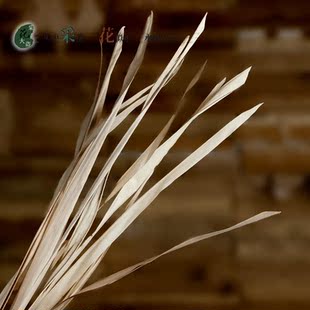 剑叶/干枝草装饰花仿真假花仿真花装饰落地干花真花客厅家居摆设