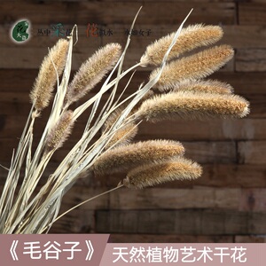 毛谷子/干花干枝花束仿真花 干花插花客厅装饰麦穗永生花假花花艺