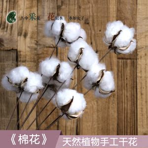 仿真花干花花束单头棉花客厅永生花棉花干花花束拍摄仿真棉花花