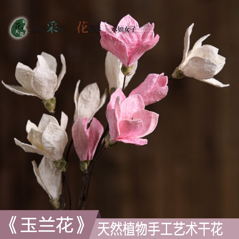 玉兰花仿真花干花枝艺术干花花束真花文艺卧室客厅落地宜家干花