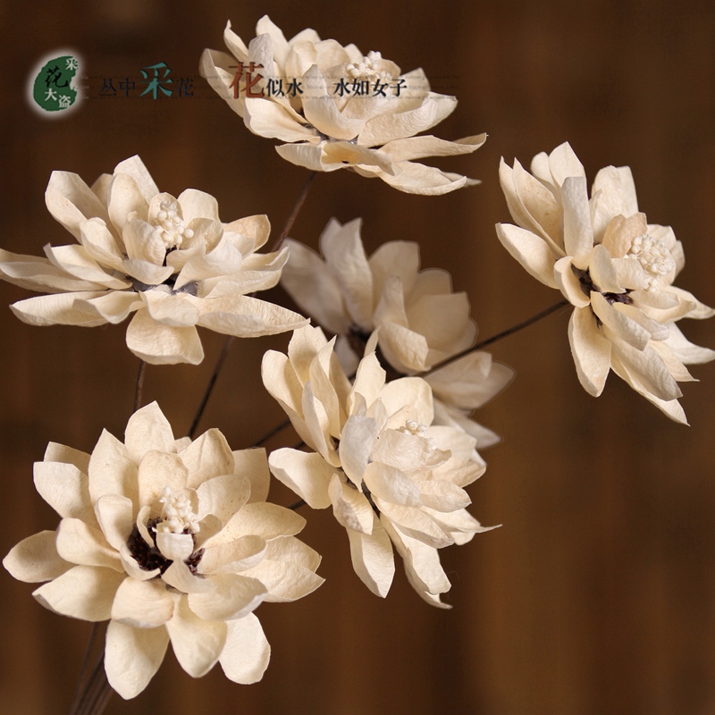 雪莲花干花仿真花束插花假花仿真花文艺装饰花客厅落地假花欧式
