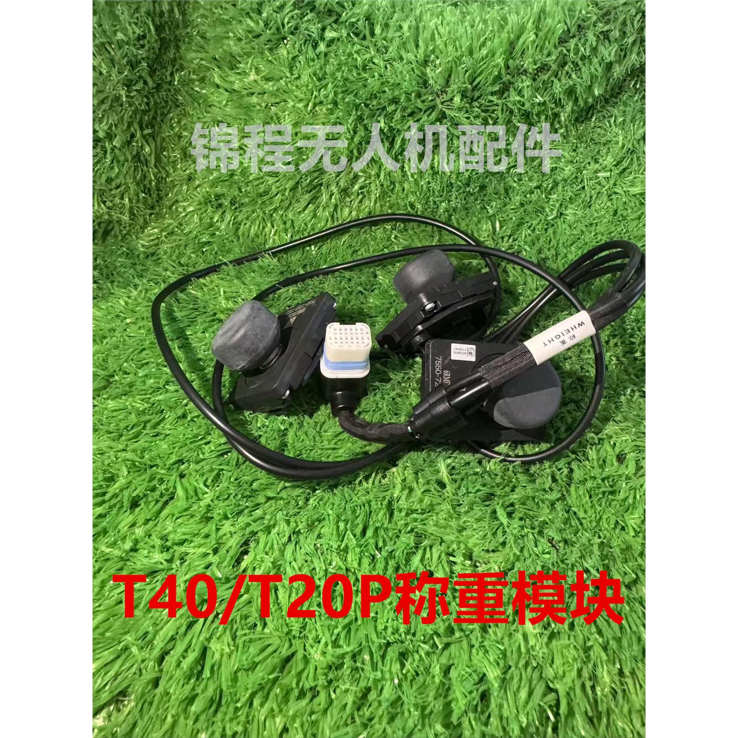 大疆T50T240/P全新称重模图片