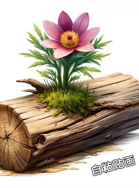 生命力量枯木逢春创意风景贴纸冰箱门窗衣柜床头装饰贴画瑕疵遮丑
