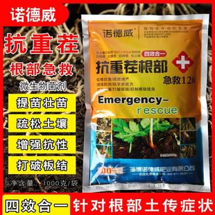 抗重茬根部急救120枯草芽孢菌微生物菌肥生根疏松土壤提苗抗根腐