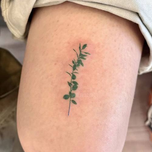 植物树枝生命力纹身彩色ins大腿清新高颜值持久防水手臂刺青永久