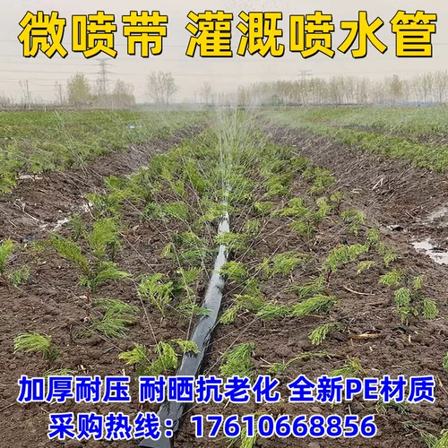 Сельскохозяйственная аэрозольная аэрозольная аэрозольная спрей -аэрозоль