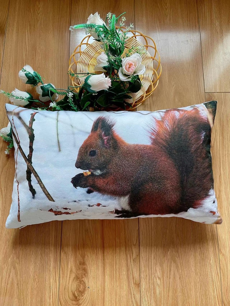 腰枕抱枕靠背pp棉小动物松鼠