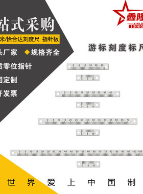 替怡合达刻度尺BLR02/12/32/42/52/72-L60/L100/L200/L300铝标尺