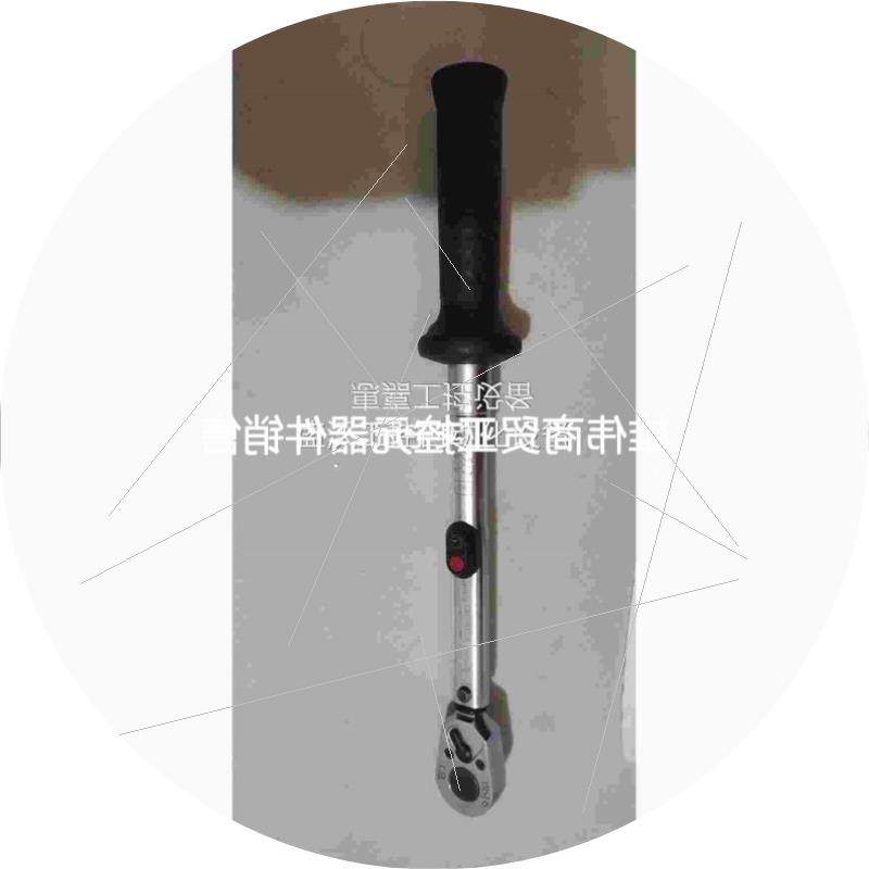 议价议价哈蔡特HAZET扭力扳手6110-1CT5-60Nm议价